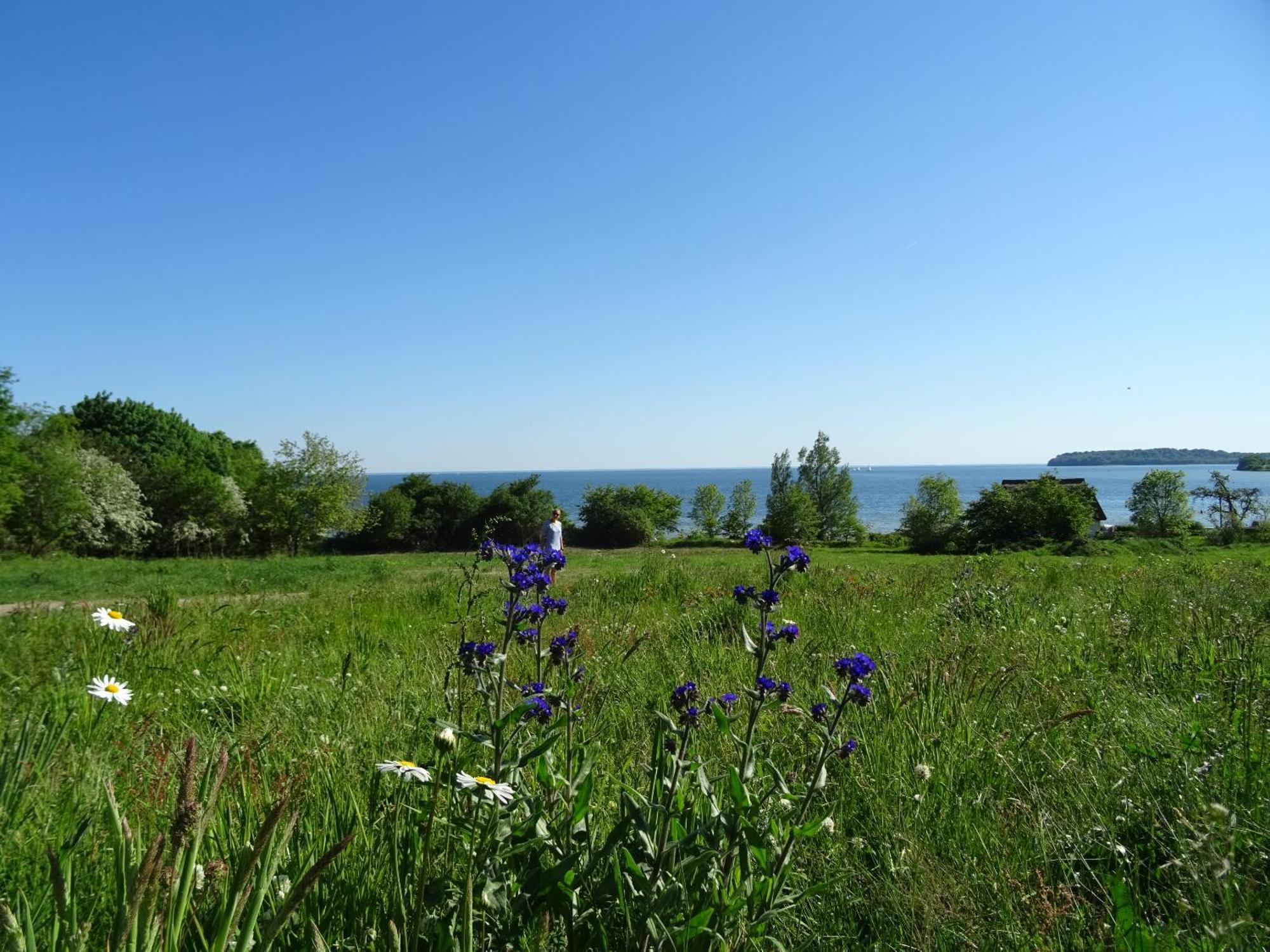 Werft & * Lauterbach (Rugen)